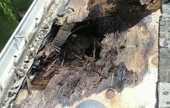 3-1 The number 1 cause of premature roof damage is due to chlorine based products.