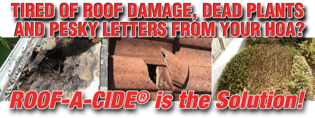 Roof Damage West Palm Beach Florida
