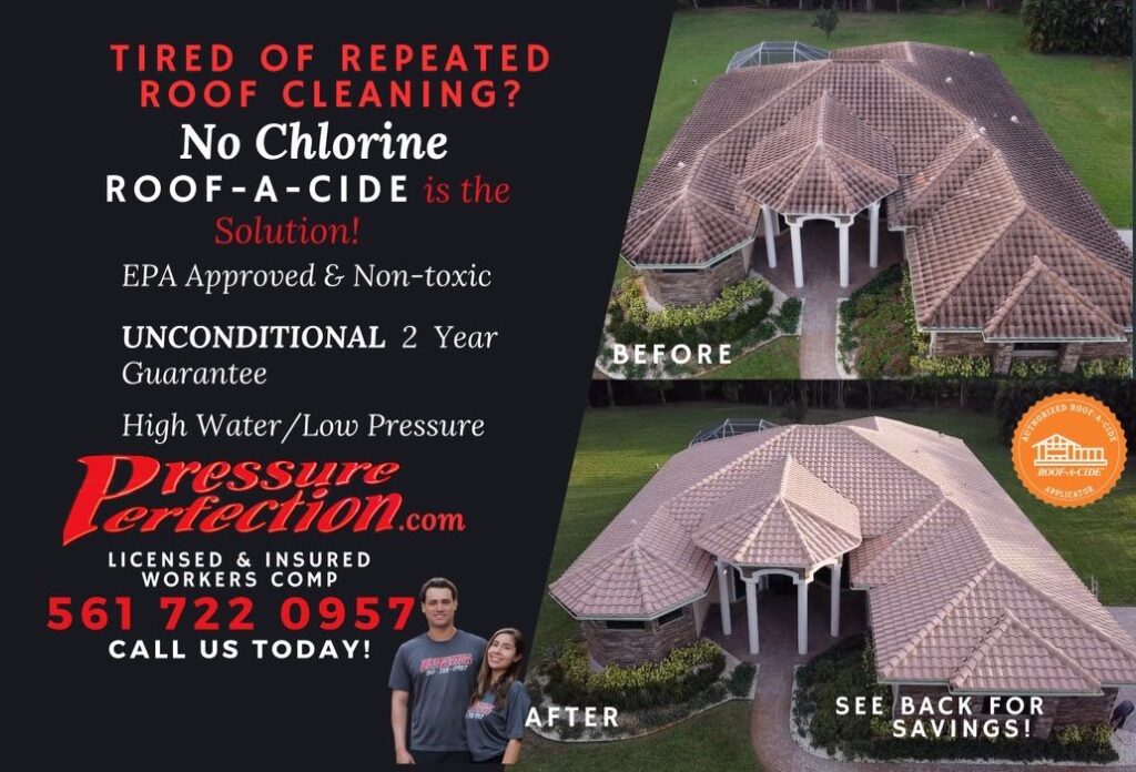 Roof cleaning near me